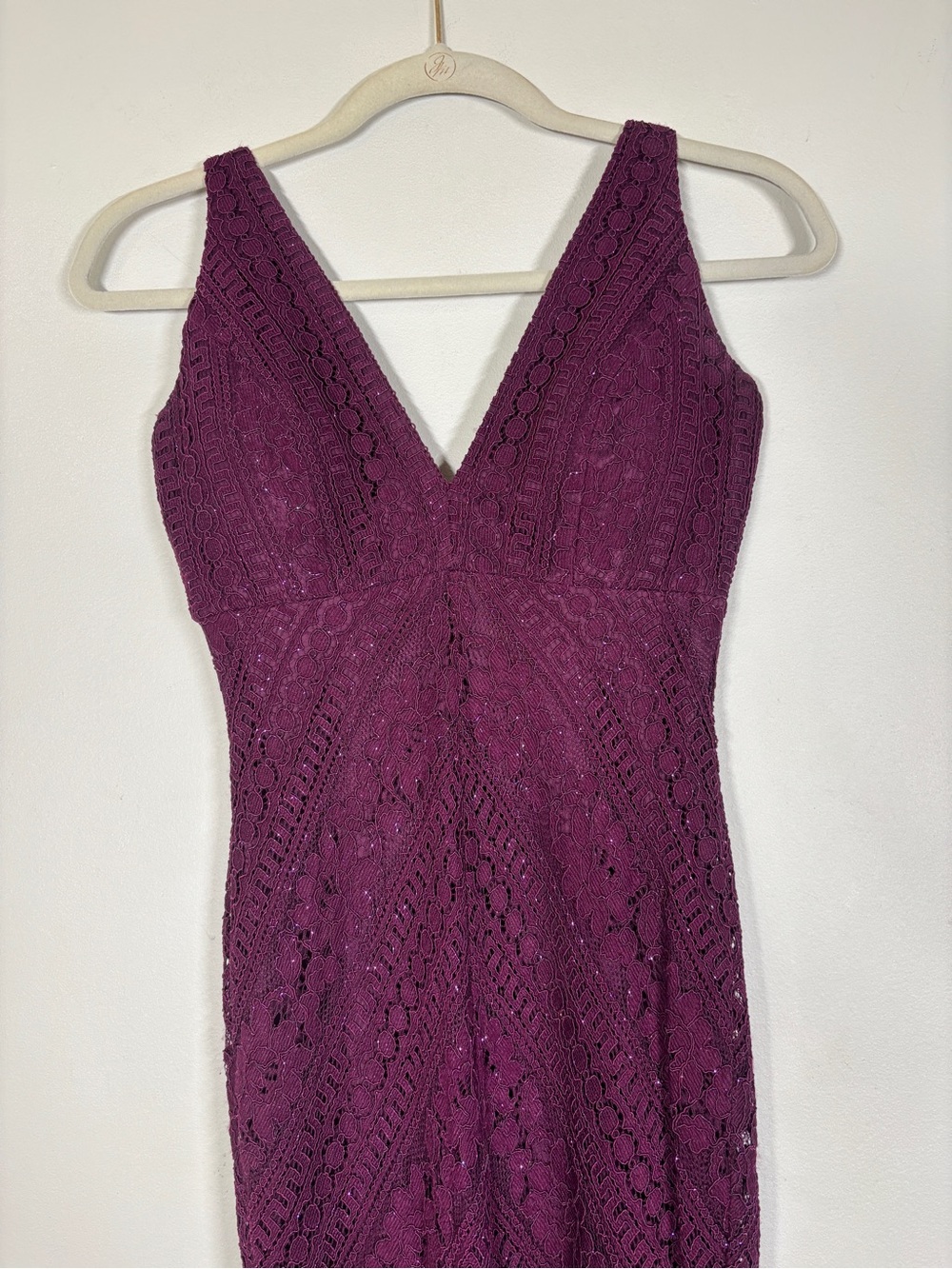 Women's Deep shimmer Plum Lace Gown